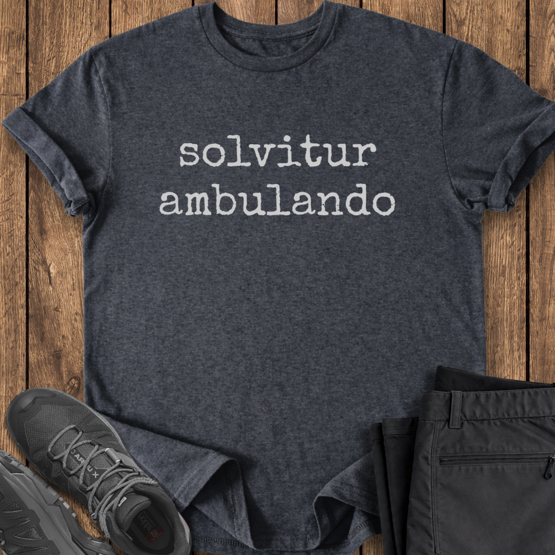 Dark gray t-shirt with 'solvitur ambulando' text on a wooden surface, paired with black shoes and pants.