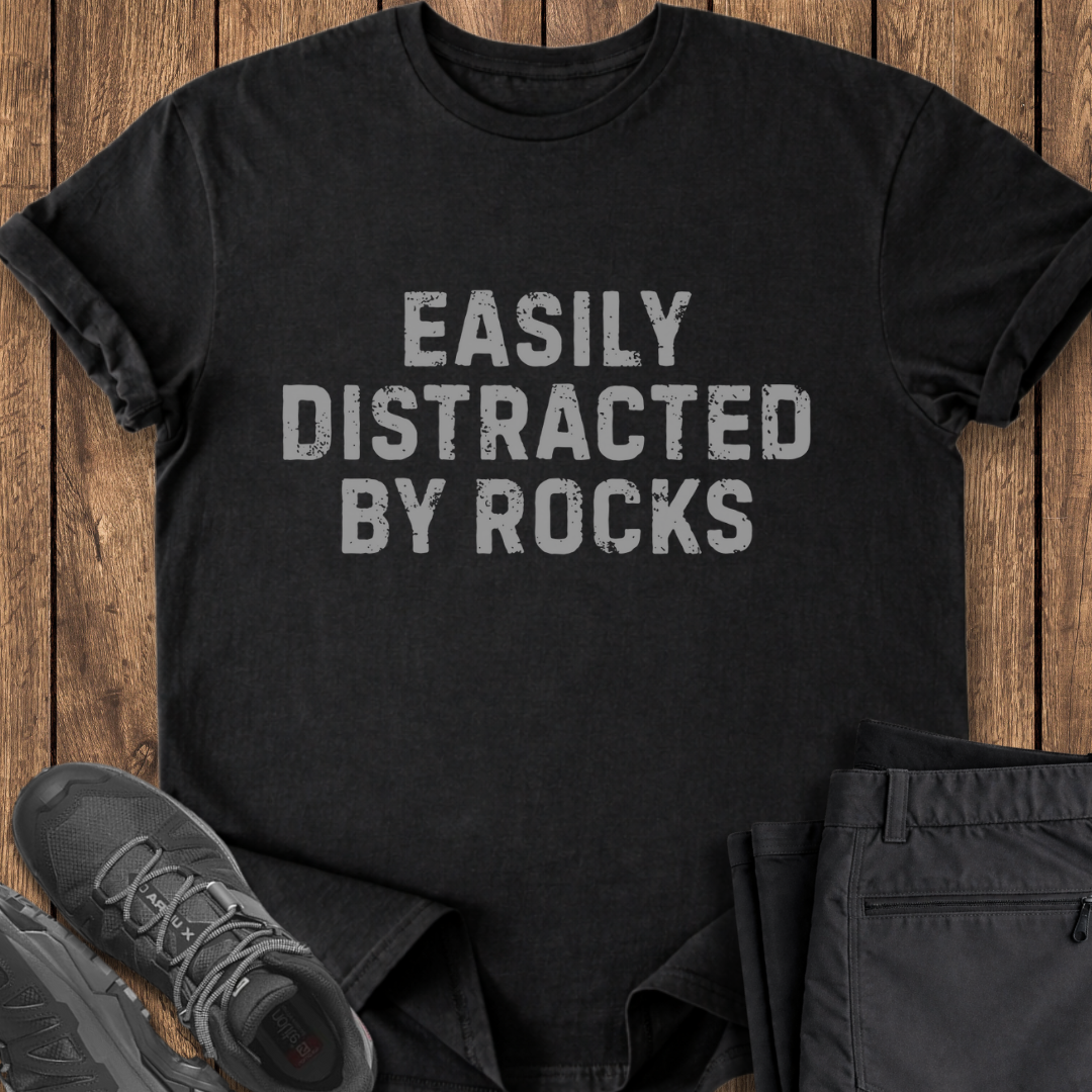 Distracted by Rocks